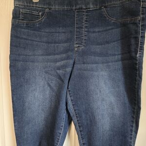 Bandolino Dark Blue Jeggings